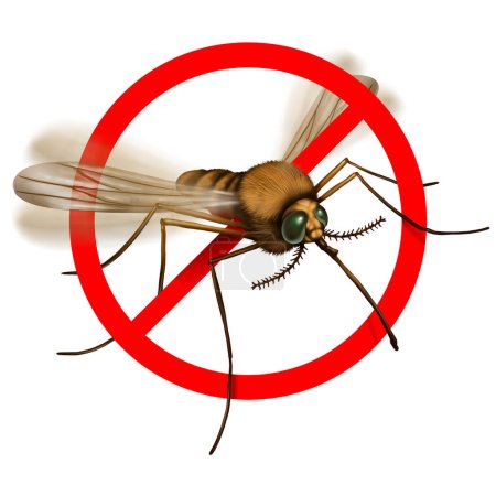 Kein Moskito- und Mückenrisiko durch Mücken im Freien, die schädliche Infektionen übertragen wie Malaria und Zika-Virus als Insektensymbol der Krankheitsvorbeugung als Risiko des Campens in 3D-Illustrationsstil.