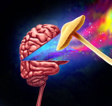 Drogues psychédéliques et drogues hallucinogènes en tant que symbole champignon ouvrant l'esprit en tant que thérapie psychédélique cérébrale et traitement psychiatrique utilisant des hallucinogènes naturels avec des éléments d'illustration 3D.