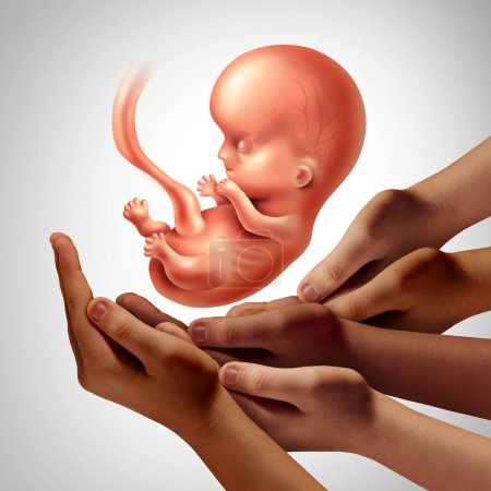 Synthetischer Embryo und Modell-Embryonen als Forscherteam, das einen menschlichen Fötus als Symbol für Genetik und Geburtshilfe oder frühe Schwangerschaft in einem 3D-Illustrationsstil hält.