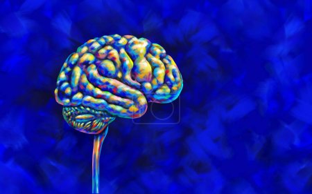 Cerebro humano y psicología o psiquiatría como salud mental y neurociencia comportamiento cognitivo y emociones conciencia como percepción de la mente y pérdida de memoria o trastornos de personalidad en un estilo de ilustración 3D.