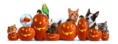 Halloween and happy pets as a group of carved jack o lantern pumpkins for autumn as veterinary and veterinarian pet celebration with dogs cats hamsters celebrating Fall season with 3D illustration style elements.