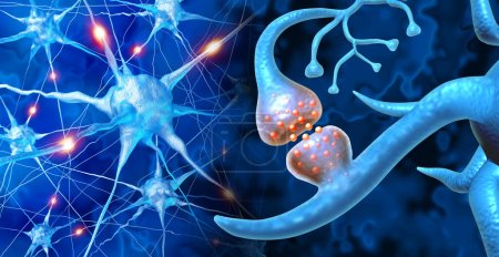 Synapse Neurologie cérébrale Cerveau humain Neurologie et terminaisons nerveuses cognitives en tant que symbole médical anatomique des fonctions neuronales et des synapses neurologiques liées à la mémoire et à la fonction de santé mentale.