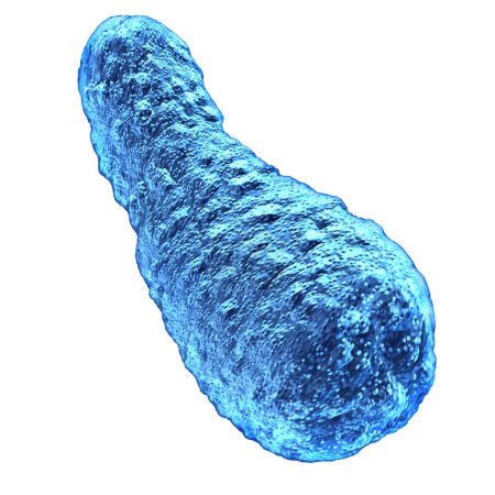 Botulism Bacteria symbol as a severe illness caused by Clostridium botulinum bacteria producing paralytic toxins that lead to muscle weakness and paralysis found in contaminated food isolated on white.