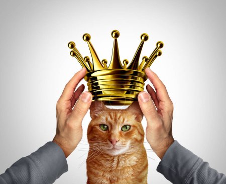 Best cat award and Feline Crowning Coronation as a kitten Crown as a person bestowing or granting a Gold or golden headpiece on a lovable furry pet as a veterinarian care symbol.