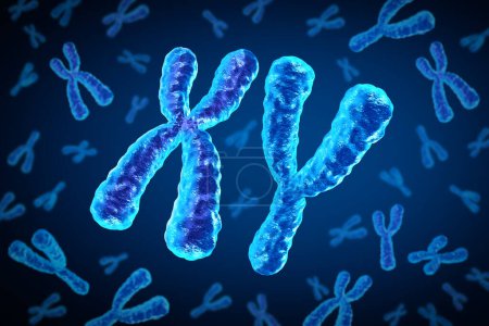 X et Y Chromosomes en tant qu'homme Concept chromosomique pour une structure de biologie humaine contenant de l'information génétique ADN en tant que symbole médical pour la thérapie génique ou la recherche en microbiologie génétique.