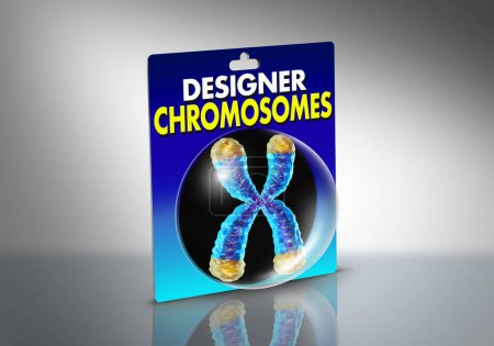 Diseñador Cromosomas y cromosomas artificialmente diseñados y creados sintéticamente como biología sintética con material genético editado hecho por el hombre.