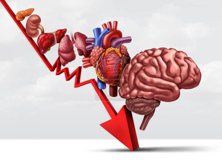 Disminución de la salud humana y el proceso de envejecimiento de los órganos como disminución del funcionamiento de los pulmones del corazón, el páncreas renal y el cerebro como símbolo de atención médica o de atención médica.