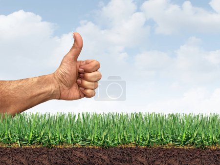 Césped perfecto y hierba sana como símbolo de cuidado del césped para controlar las malas hierbas y fertilizar y airear el césped como paisajista dando aprobación para una buena jardinería