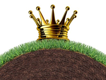 Best Lawn Award und Exzellenz im Bereich Gesundes Gras mit siegreicher Rasenpflege zur Unkrautbekämpfung und Düngung und Belüftung mit der Nummer eins im Bereich Garten- und Landschaftsbau mit königlicher Krone