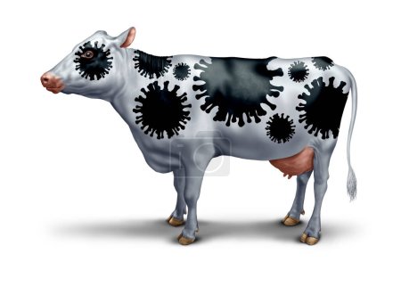 Cow Virus Outbreak as a bovine coronavirus symbol as an agricultural pathology symbol or the effects of avian or bird flu as a public health concern.
