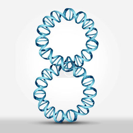 Langlebigkeit und ewige Gesundheit und genetische Forschung und Anti-Aging-Therapien als Gene und Alterung als DNA-Strang, der gesunde Telomere ohne Ende als Infinity-Symbol repräsentiert 