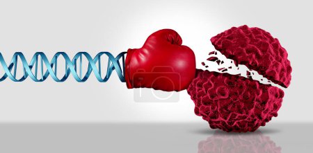 DNA Cancer Immunotherapy Research as genomics fighting a cancerouse cell as a health care medical concept for a pharmaceutical cure to fight the dangerouse disease with life saving medication.