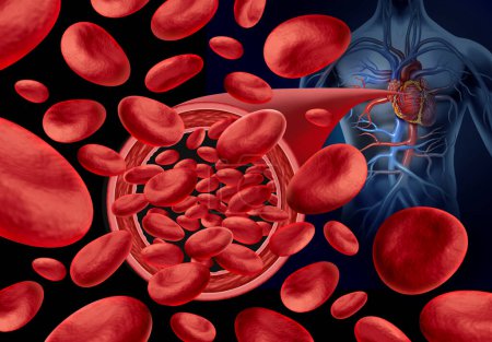 Normaler Blutfluss der Arterie und gesunde Arterien ohne Plaque als medizinisches Konzept mit Blutzellen, die normal fließen, ohne Cholesterinanreicherung als gesundes Herz-Kreislauf-System.