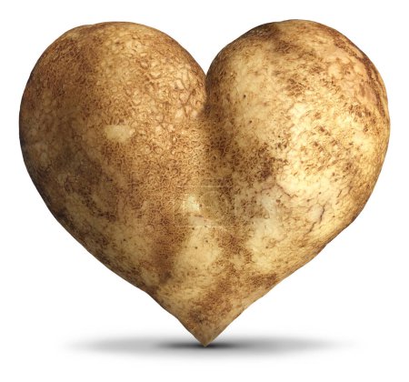 Potato Heart Love as a healthy root vegetable rich in antioxidants vitamin c minerals and fiber as a starch food with benefits to bone health and healthy blood pressure helping digestion and inflammation.