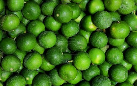 Photo for Green lime fruit pile background. Top view. - Royalty Free Image