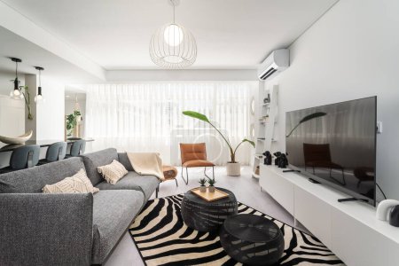 Foto de Moderno apartamento salón interior con sofá gris y zona de TV y canasta a cuadros. Foto de alta calidad - Imagen libre de derechos