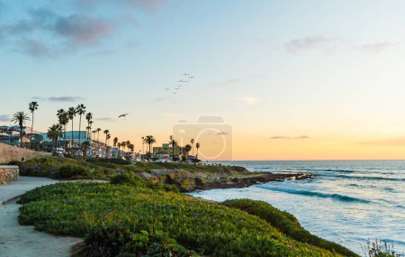 A beautiful beach scene with palm trees and a sunset in the background at La Jolla, San Diego. The sky is clear and the ocean is calm