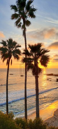 Ein Sonnenuntergang über dem Ozean mit Palmen im Vordergrund. Der Himmel ist eine Mischung aus orangen und rosa Farbtönen, die eine warme und heitere Atmosphäre schaffen.