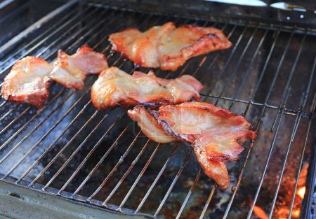 Téléchargez les photos : Pièces de barbecue sur poêle à charbon. Savoureux porc grillé sur le gril - en image libre de droit