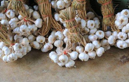 Téléchargez les photos : Bouquet d'ail après récolte lié à facile à stocker et à vendre. - en image libre de droit
