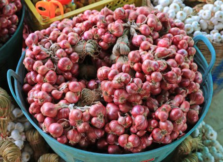 Téléchargez les photos : Bouquet d'oignon dans le panier après la récolte lié à facile à stocker et à vendre. - en image libre de droit