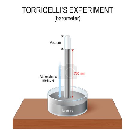 Illustration for Barometer. Torricelli experiment with mercury. Invented simple barometer to measure the air pressure. The glass tube is placed inverted on the dish full of mercury. Vector poster - Royalty Free Image