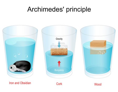 Illustration for Archimedes Principle. Experiment with water glasses, obsidian stone, iron key, cork and wood cube. buoyant acting on the object that floats is equal to the weight of the fluid that is displaced. Science project about Density, Gravity, and  buoyant fo - Royalty Free Image