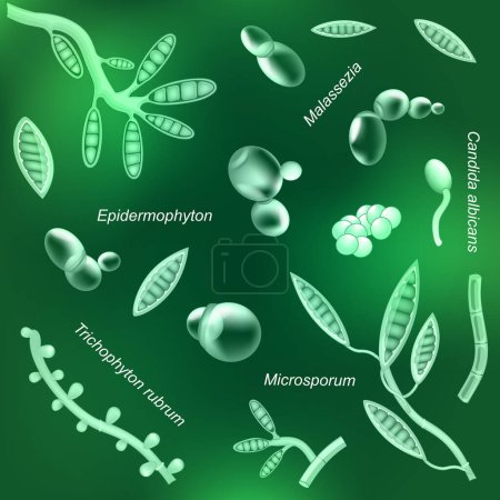 Pathogenic fungi with glowing effect on green background. pattern of Dangerous pathogen. Yeast that cause of infectious disease or illness. saprophytes. Vector