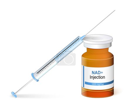 Illustration for Nicotinamide adenine dinucleotide. Syringe, and vial for injection. Life extension. Anti-aging therapy. NAD helps convert food to energy, maintaining DNA integrityand proper cell function. protect body from aging and disease - Royalty Free Image