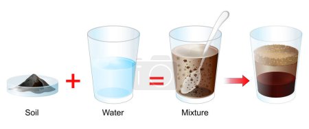 Ilustración de Soil particles. Separation Experiment. Soil is made up of a mixture of sand, silt, clay and rotted plant or organic material. experiment helps to understand what they proportions. vector poster - Imagen libre de derechos