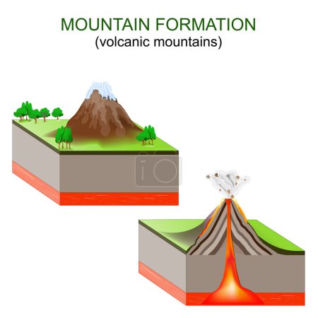 Ilustración de Formación de montaña. Montañas volcánicas. Los movimientos de las placas tectónicas crean volcanes a lo largo de los límites de las placas, que entran en erupción y forman montañas. Ilustración vectorial - Imagen libre de derechos