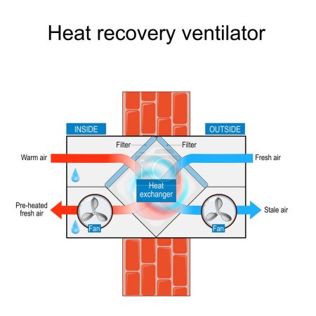 Téléchargez les illustrations : Structure du ventilateur de récupération de chaleur ou d'énergie. Coupe transversale d'un HRV. Système d'échange d'air. Illustration vectorielle - en licence libre de droit