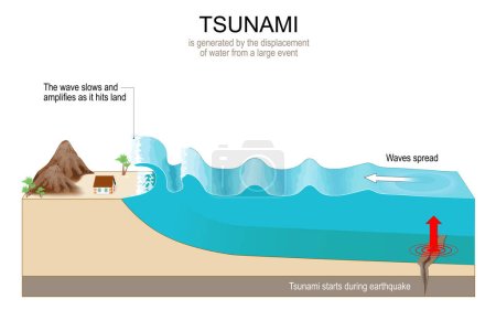 El tsunami es una serie de enormes olas generadas por terremotos submarinos. Las olas viajan a una velocidad subsónica a través de la superficie del agua. Diagrama vectorial. cartel para la educación 