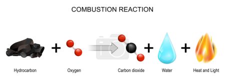 Reacción de combustión. reacción química entre el combustible y el oxígeno para producir calor y luz. Los productos de reacción son a menudo dióxido de carbono y vapor de agua. Explicación del experimento. para estudiar y educar. Ilustración vectorial.
