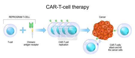 CAR T-cell therapy. cancer immunotherapy. killing of tumor cells. genetically engineered. Personalized medicine. Vector illustration