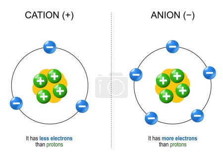 Téléchargez les illustrations : Cations et anions. Structure des ions. Exemples et différences. L'anion a plus d'électrons que de protons. Cation a moins d'électrons que les protons. Illustration vectorielle - en licence libre de droit