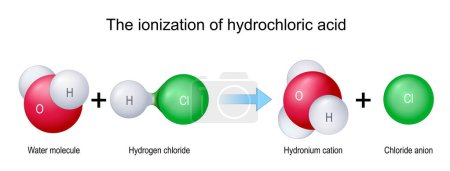 L'ionisation de l'acide chlorhydrique. Les molécules H2O et HCl se combinent pour former le cation hydronium H3O et l'anion chlorure Cl par réaction chimique. Illustration vectorielle