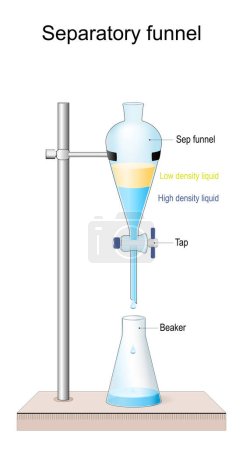 Separatory funnel. Structure of separating funnel. Beaker, Tap, Sep funnel, High density liquid and Low density liquid. laboratory glassware for separate or partition the components of a mixture into two immiscible solvent. Vector illustration