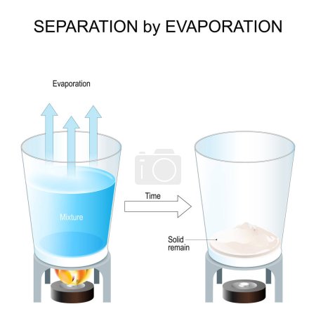 Illustration for Separation by Evaporation. Method for Separation of Components of a solid-liquid Mixture. Organic chemistry. Salt extraction. scientific experiment. Vector illustration - Royalty Free Image
