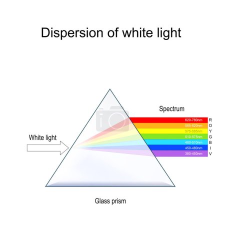 Dispersión de luz blanca. Experimente con prisma de vidrio óptico transparente y haz de luz blanca. visible Spectrum from Infrared to Ultraviolet, and Wavellength. El experimento del prisma de Newton. Física óptica. Ilustración vectorial