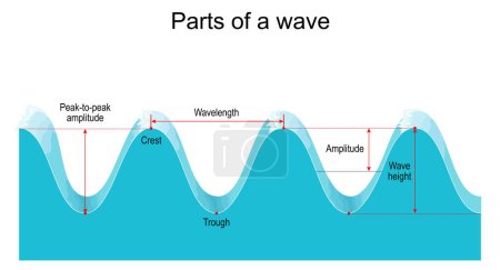 Partes de una onda Cresta, canal, longitud de onda y amplitud. ilustración vectorial