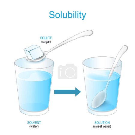 Téléchargez les illustrations : Solubilité. Des solutions. expérimenter avec du sucre et un verre d'eau. Faire un mélange de solution d'eau douce. chimie. Affiche vectorielle - en licence libre de droit