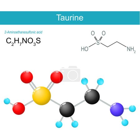 Illustration for Taurine molecule. molecular chemical structural formula and model of non-proteinogenic amino sulfonic acid. Vector illustratio - Royalty Free Image