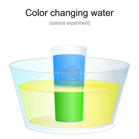 Illustration for Color Changing Water. Science Experiment for kids at home. Vector illustration - Royalty Free Image