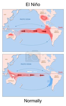 Ilustración de El Niño. mapa del mundo con continentes y flechas que indican la dirección del agua caliente y fría y los vientos. Clima, Clima, fenómeno oceánico y atmosférico. ilustración vectorial - Imagen libre de derechos