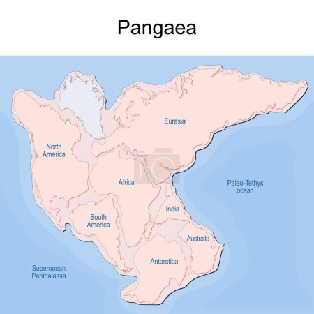 Illustration for Supercontinent Pangaea with modern continental borders, Superocean Panthalassa, and Paleo-Tethys Ocean. Pangea Maps. Continental drift theory. planet Earth millions years ago. Vector illustration - Royalty Free Image