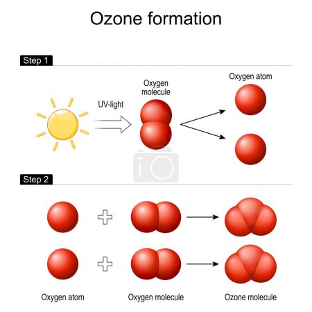 Formación de ozono en la atmósfera terrestre. La radiación ultravioleta solar rompe una molécula de oxígeno O2 para formar dos átomos separados. combinación de cada átomo con oxígeno molecular para generar la molécula de ozono O3. Ilustración vectorial
