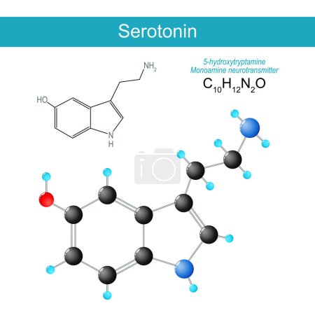 Ilustración de Molécula de serotonina. fórmula estructural química molecular y modelo de neurotransmisor de monoamina. Hormona del regulador del humor. Ilustración vectorial - Imagen libre de derechos