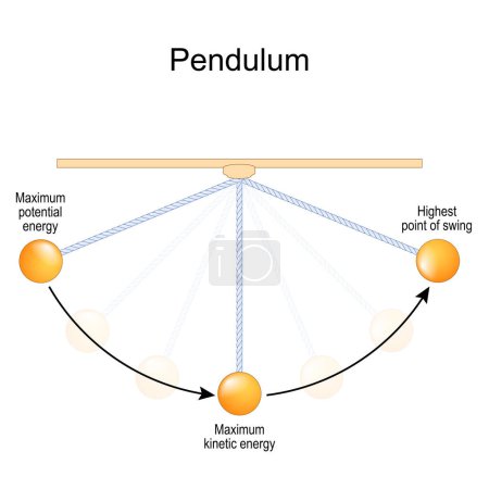 Ilustración de Movimiento del péndulo y conservación de la energía. Movimiento armónico simple y oscilación periódica. Diagrama vectorial - Imagen libre de derechos