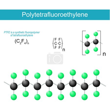 Ilustración de Molécula politetrafluoroetileno. PTFE es un fluoropolímero sintético de tetrafluoroetileno. fórmula estructural química molecular y modelo. ilustración vectorial - Imagen libre de derechos